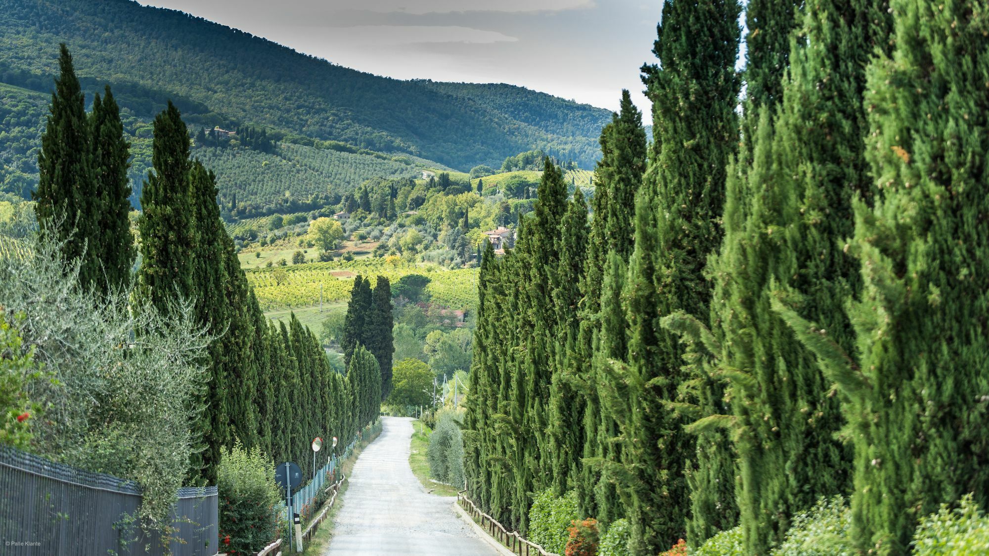 Agriturismo I Pini San Gimignano Kültér fotó