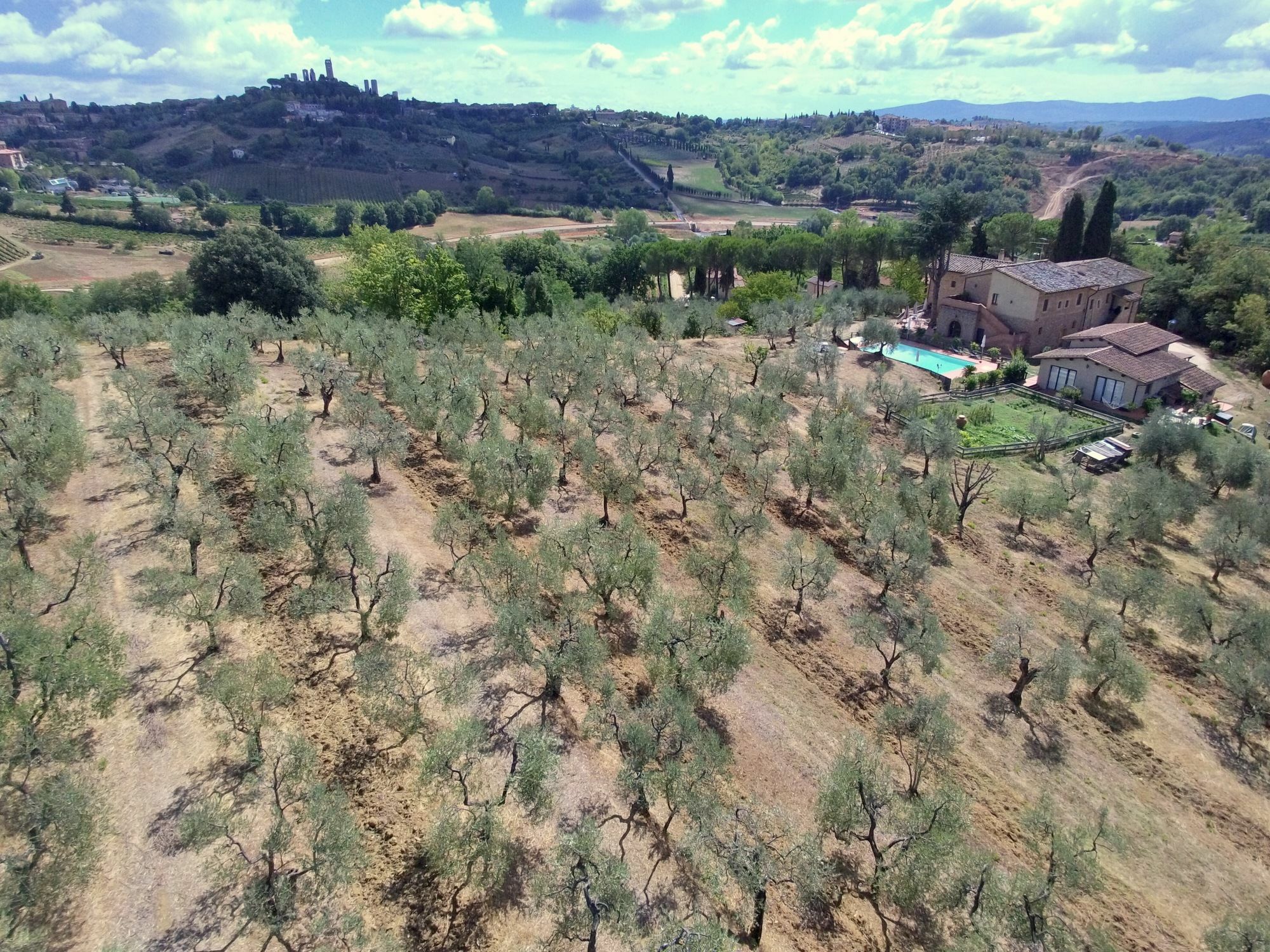 Agriturismo I Pini San Gimignano Kültér fotó